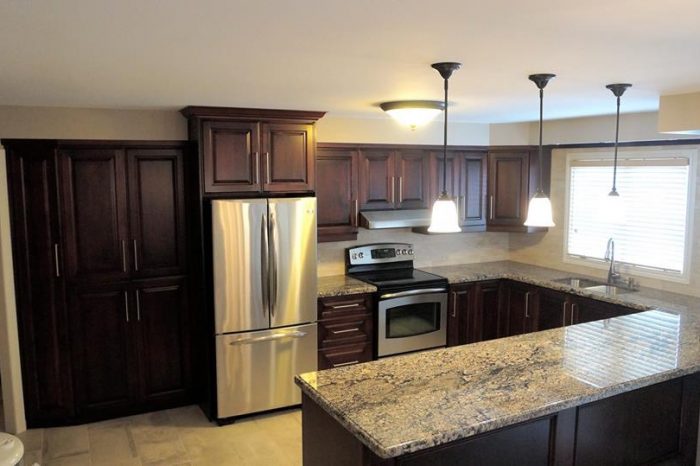 an image of a kitchen in brampton